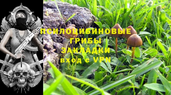 apvp Баксан