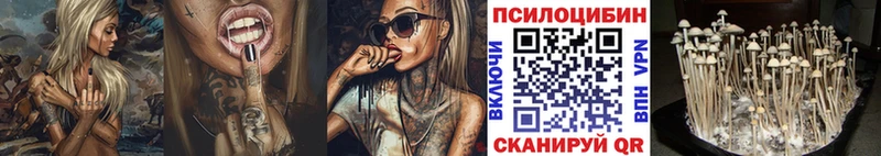 Псилоцибиновые грибы GOLDEN TEACHER  магазин  наркотиков  Терек 